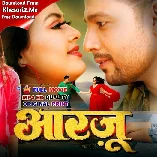 Aarzoo Bhojpuri Hdrip Original Print Full Movie 720p