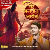 Mere Bhagwan Aayenge (Priyanshu Singh)