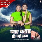 Pyar Bahar Ke Mausam (Satish Singh, Priyanka Singh) 