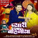 Pyari Bahiniya (Shani Kumar Shaniya, Shivani Singh)