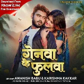 Genwa Ke Phulwa (Awanish Babu, Karishma Kakkar) 