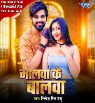 Jhap Jhap Kare Hmara Malwa Ke Balwa Mp3 Song