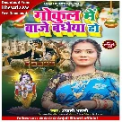 Gokul Me Baje Badhaiya Ho (Anjali Bharti)