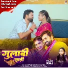 Gulabi Sadi (Sarvesh Singh, Shilpi Raj) 