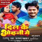 Dil Ke Odhani Me (Dhananjay Dhadkan)