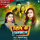 Dil Ke Aawaj (Shilpi Raj)