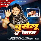 Chuselu Ae Jaan (Bullet Raja)