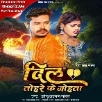 Dil Tohare Ke Johata (Sonu Sargam Yadav)