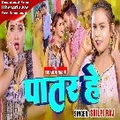 Patar He (Shilpi Raj)