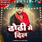 Dhodi Me Dil (Mithu Marshal)