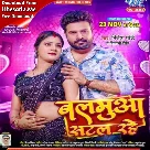 Balamua Satal Rahe (Ritesh Pandey, Shivani Singh)