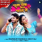 Chumma Rok Liya Patang Me (Dhananjay Dhadkan, Shilpi Raj)