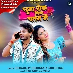 Chumma Rok Liya Patang Me (Dhananjay Dhadkan, Shilpi Raj)