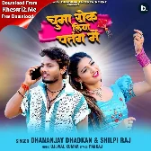 Chumma Rok Liya Patang Me (Dhananjay Dhadkan, Shilpi Raj)