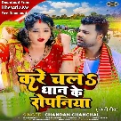 Kare Chala Dhaan Ke Ropaniya (Chandan Chanchal)