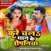 Kare Chala Dhaan Ke Ropaniya (Chandan Chanchal)