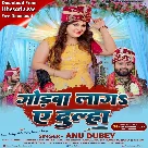 Godwa Laga Ae Dulha (Anu Dubey)