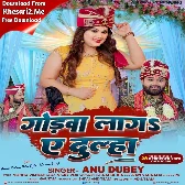 Godwa Laga Ae Dulha (Anu Dubey)