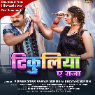 Tikuliya Ae Raja (Pawan Singh, Shivani Singh)