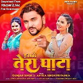 Isame Tera Ghata (Gunjan Singh)