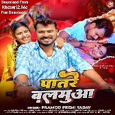 Patare Balamua (Pramod Premi Yadav)