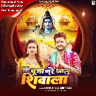 Puja Kare Jalu Shivala (Ankush Raja, Shilpi Raj)