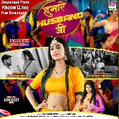 Hamare Husband Ji (Shivani Singh)