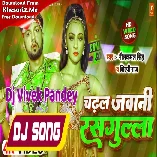 Chadhal Jawani Rasgulla (Neelkamal Singh, Shilpi Raj) New Mp3 Song Dj Vivek Pandey