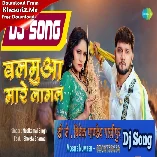 Balamuwa Mare Lagal (Neelkamal Singh) Dj Song Dj Vivek Pandey