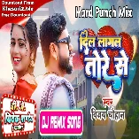 Dil Lagal Ba Tore Se (Vijay Chauhan) Dj Song Dj Vivek Pandey