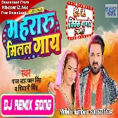 Mehari Milal Biya Hamara Ke Gay Ho Dada (Pawan Singh,Shivani Singh) Dj Dance Mix Dj Vivek Pandey